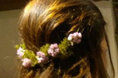 Preserved Flower Headdress
