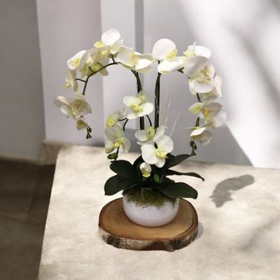 Artificial Orchid Center
