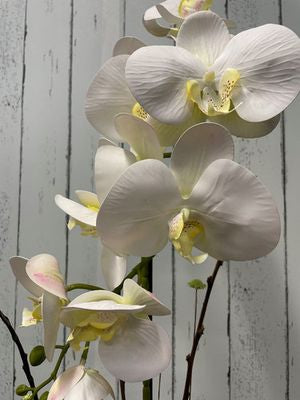 Orquidea artificial