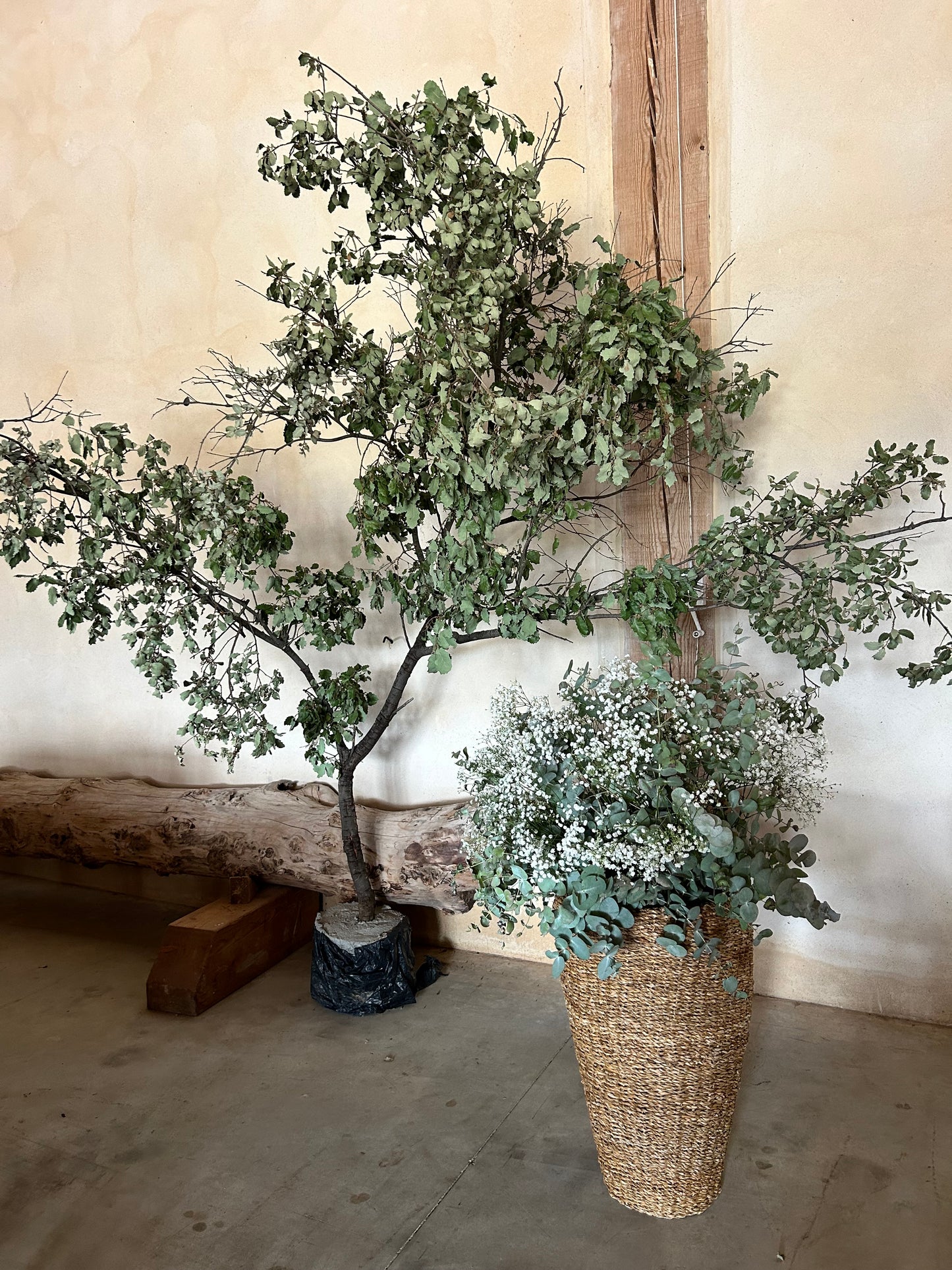 Decoration of Spaces for Brides