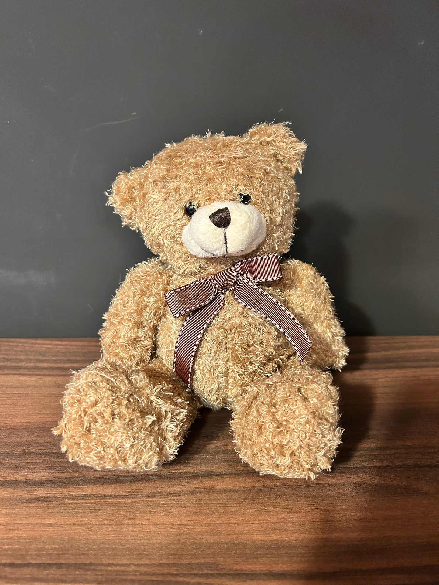 Teddy bear