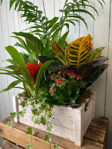 Large Wooden Plant Box