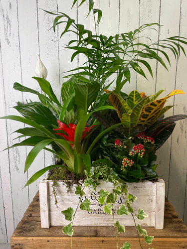 Large Wooden Plant Box