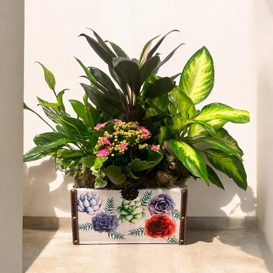 MEDIUM Wooden Plant Box