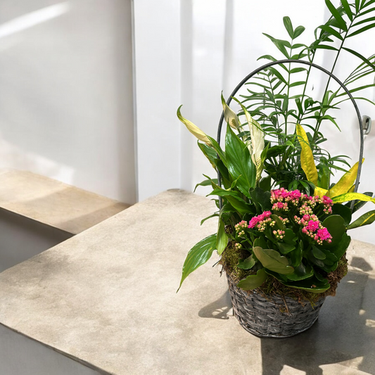 Small Plant Basket