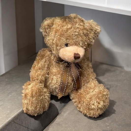 Teddy bear